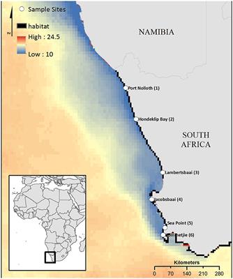 Genetic and Biophysical Models Help Define Marine Conservation Focus Areas